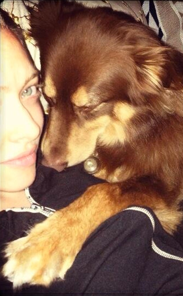 Amanda Seyfried, Dog, Twit Pic