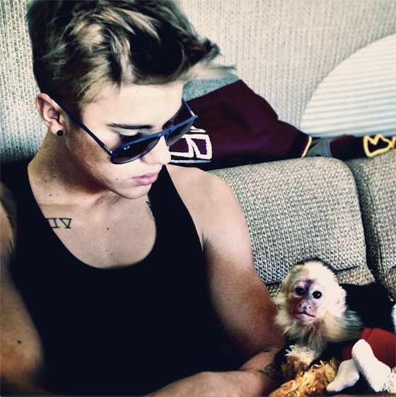 Justin Bieber, Monkey