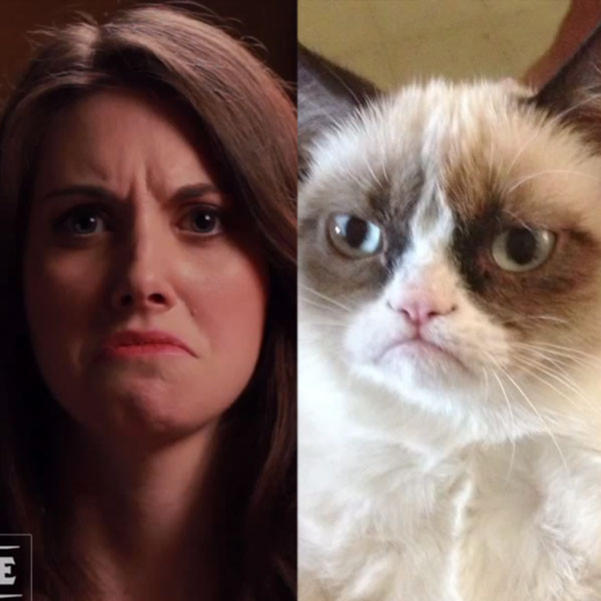 Alison Brie Recreates Grumpy Cat Other Memes E Online