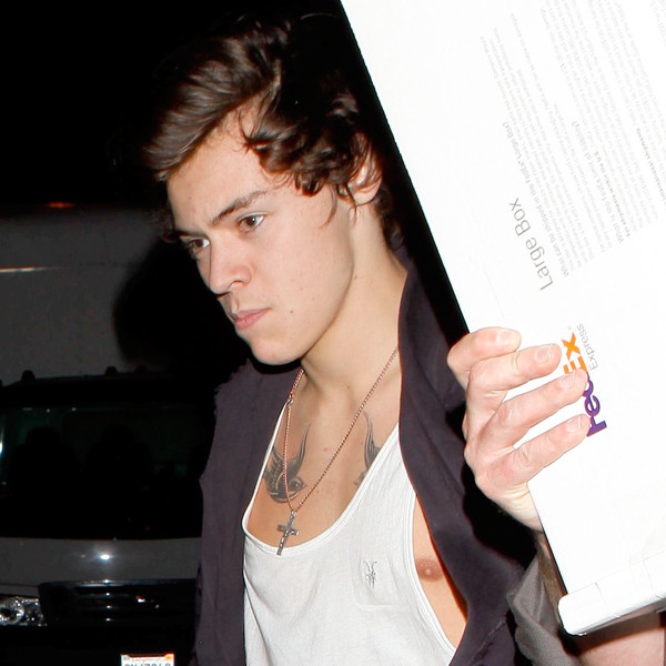 Harry Styles Spotted Out Without Kimberly Stewart