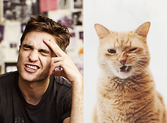 Robert Pattinson, Cat, Tumblr