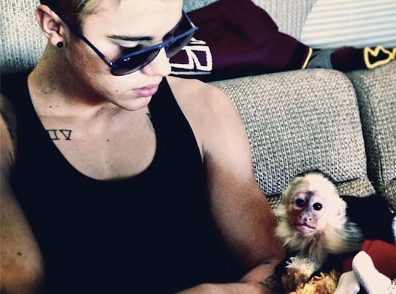 Justin Bieber, Monkey