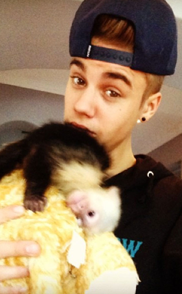 Monkey Business from Justin Bieber's Monkey Mally | E! News