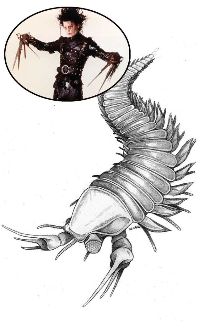 How Johnny Depp Is Like a Really Old Fossil