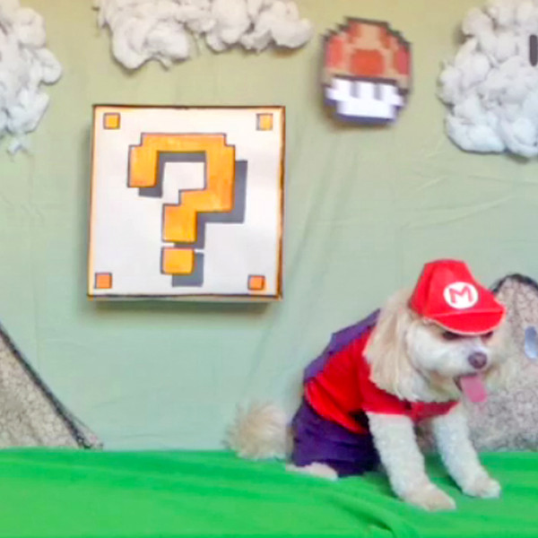 MustSee Vine Super Mario Dog! E! Online