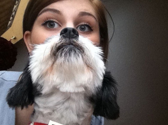 Cat Bearding The Internet S Most Purrfect Meme E Online