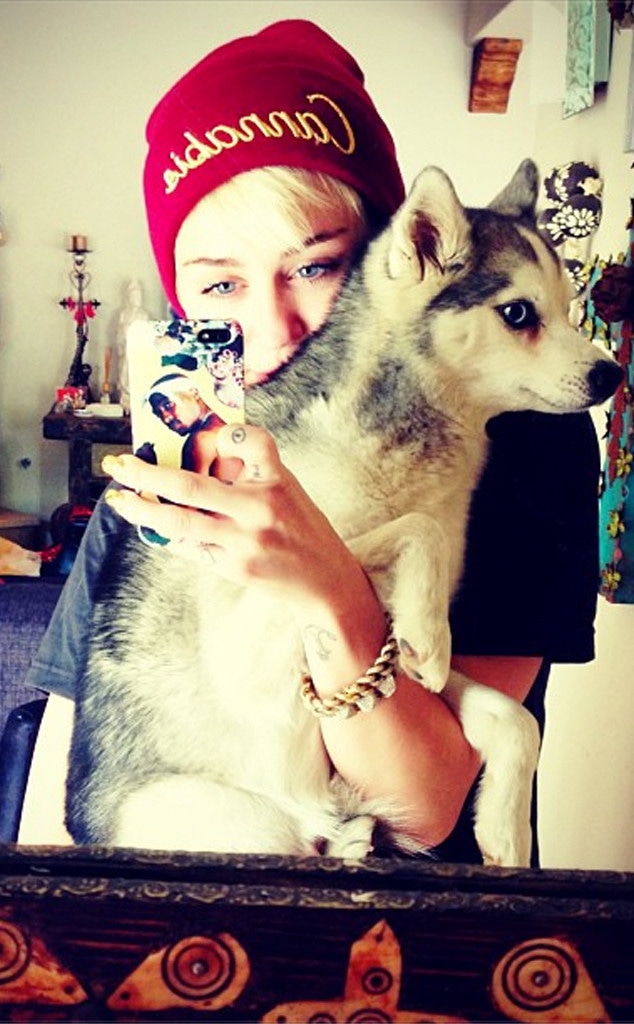 Miley Cyrus, Dogs, Instagram