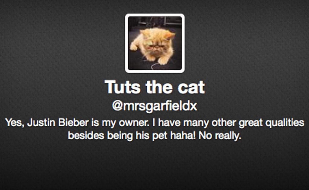 Justin Bieber, Tuts the Cat, Twitter