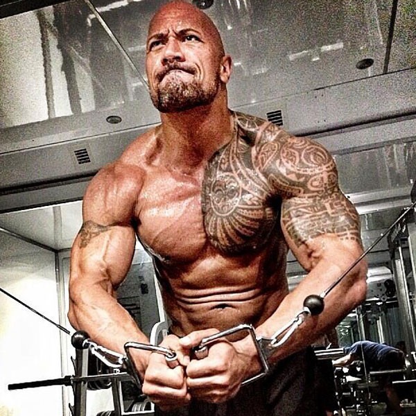 See Dwayne The Rock  Johnson s Latest Hercules Training Pic 