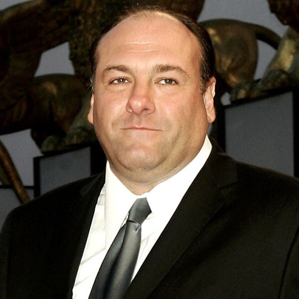 Jame Gandolfini to Get Posthumous Honor From Steve Buscemi