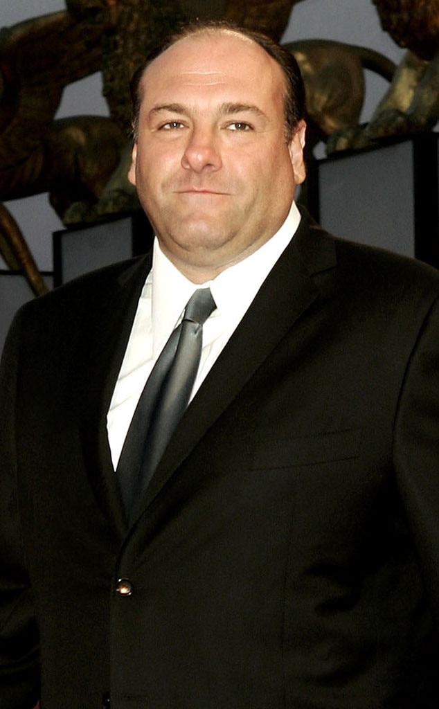 Jame Gandolfini to Get Posthumous Honor From Steve Buscemi