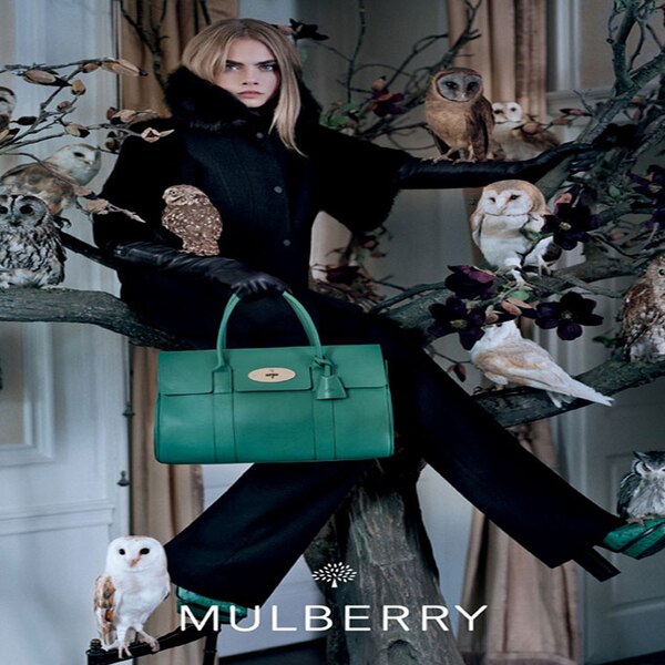 Mulberry Fall 2013 from Cara Delevingne's Fashion Campaigns | E! News