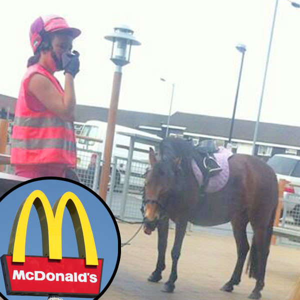 Woman Brings Her Horse Into McDonald's, Horse Poops E! Online UK