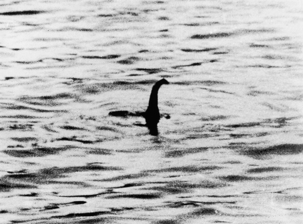 Scientists plan to scour Loch Ness for the elusive monster's DNA
	
