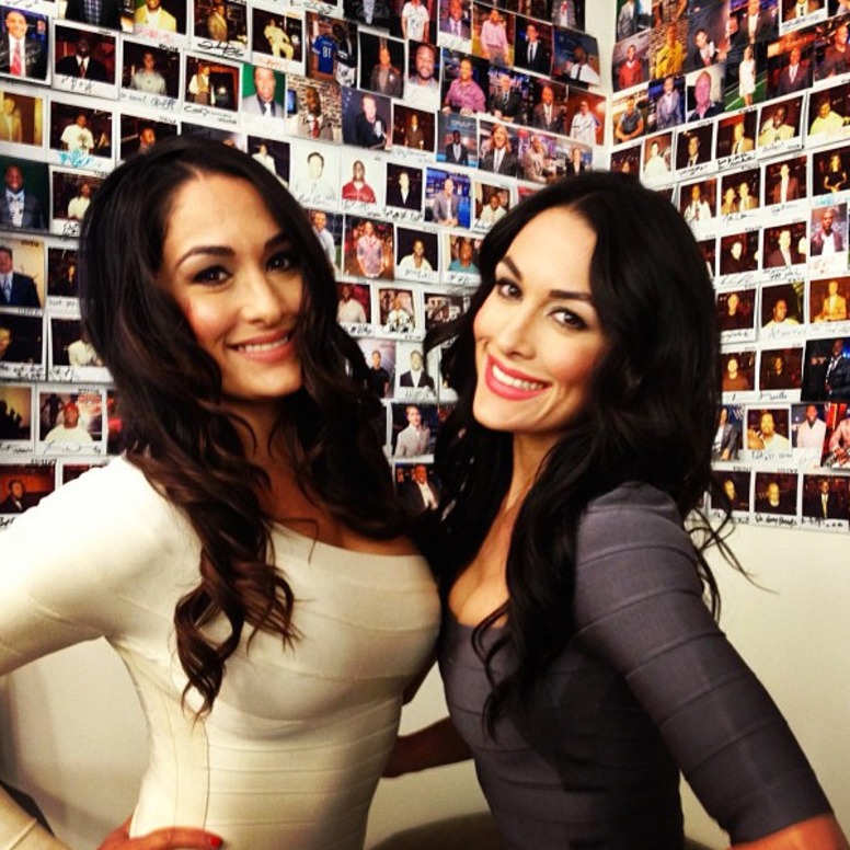 Brie Bella, Total Divas, Instagram