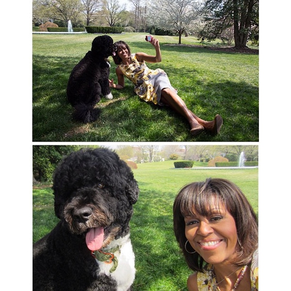 Michelle Obama, Bo, Instagram