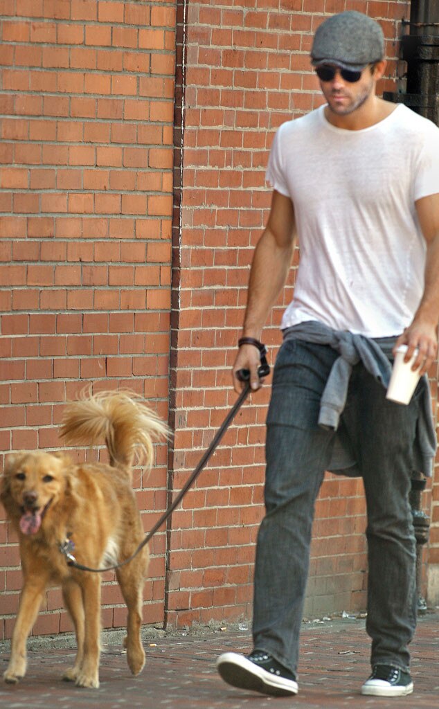 Ryan Reynolds from Stars Who Adopted Pets E! News