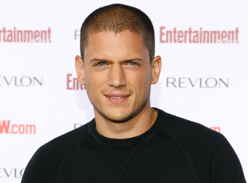 Exclusive Wentworth Miller Comes Out As Gay E Online