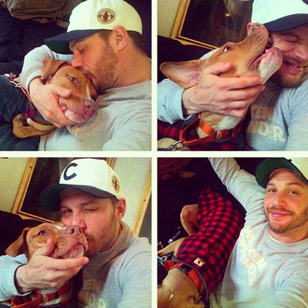 Connect Four from Tom Hardy  Loves Dogs E News