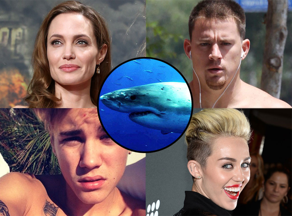 Celebrity Shark Week Justin Bieber, Miley Cyrus and More! E! Online