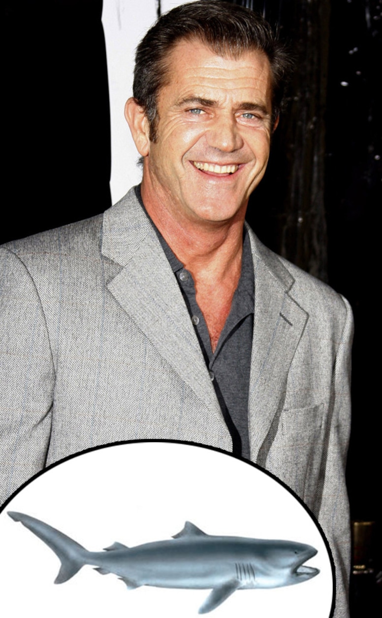 Photos from Celebrity Shark Week!