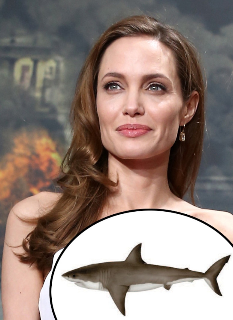 Angelina Jolie, Great White Shark