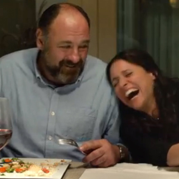 Julia LouisDreyfus Remembers James Gandolfini