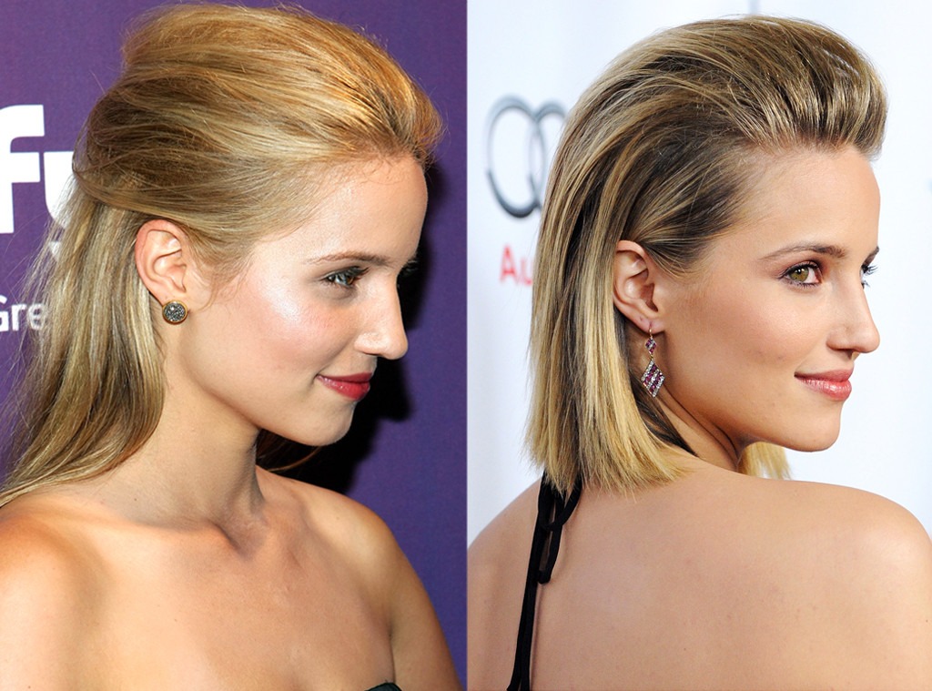 Dianna Agron, Plastic Surgery Before And After