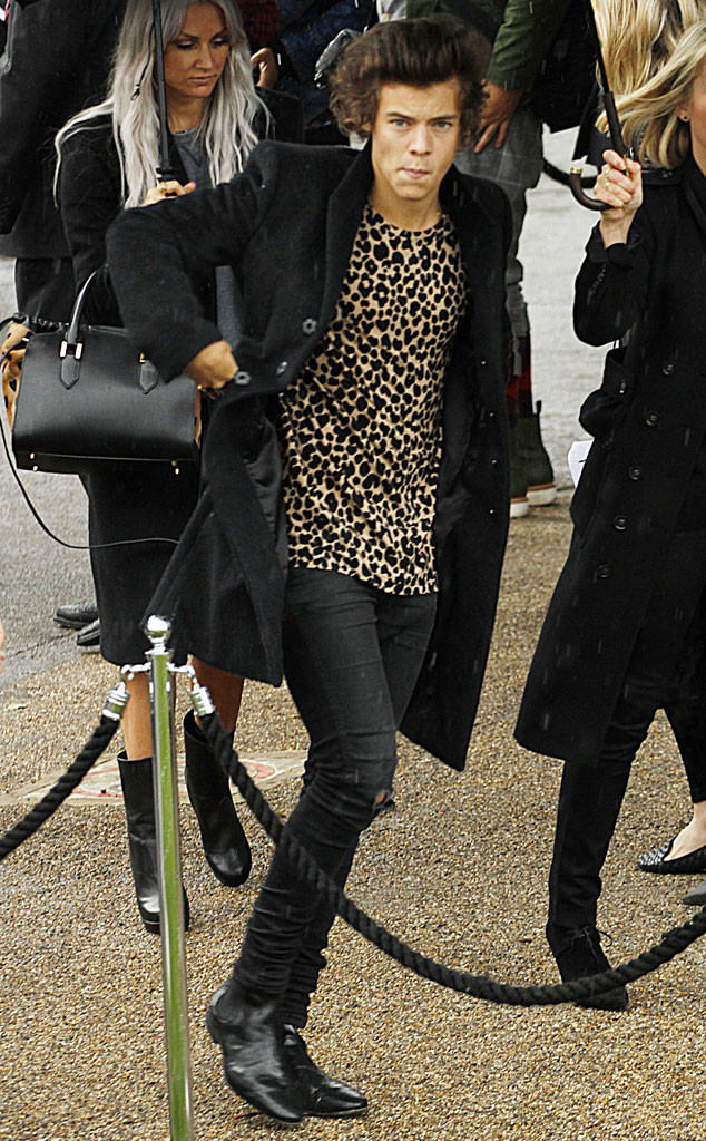 vrede smøre Forslag Harry Styles' Leopard Burberry Shirt Up for Auction! - E! Online