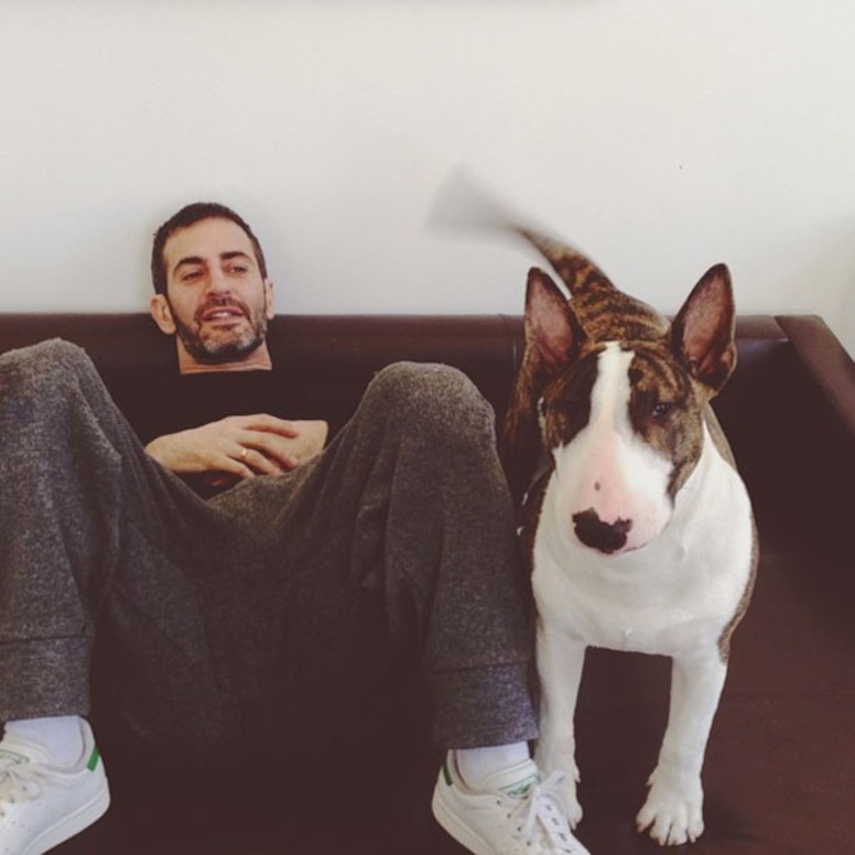 Marc Jacobs, Dog, Instagram
