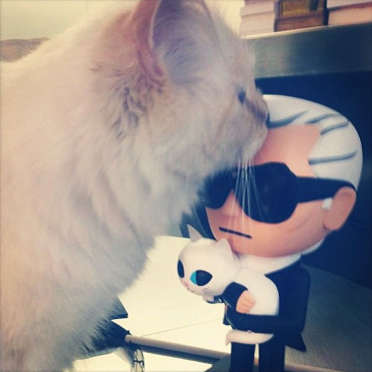 vestido Menos Plano Qué sucederá con Choupette, la adorada y famosa gata de Karl Lagerfeld? -  E! Online Latino - MX