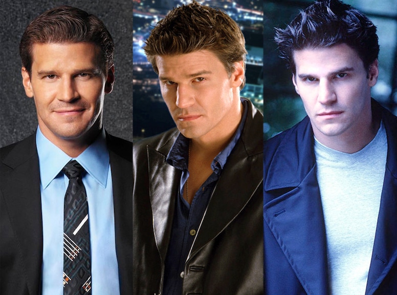 David Boreanaz, Multiple Hit Shows