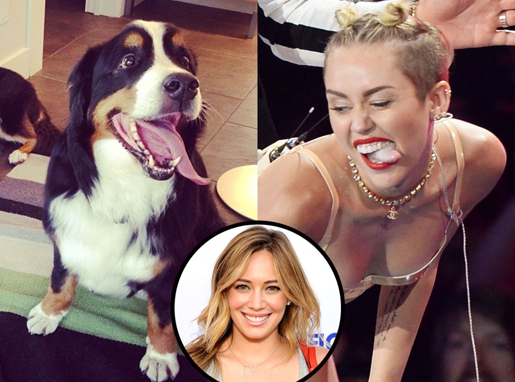 Miley Cyrus, Twerking, VMA, Hilary Duff Dogs