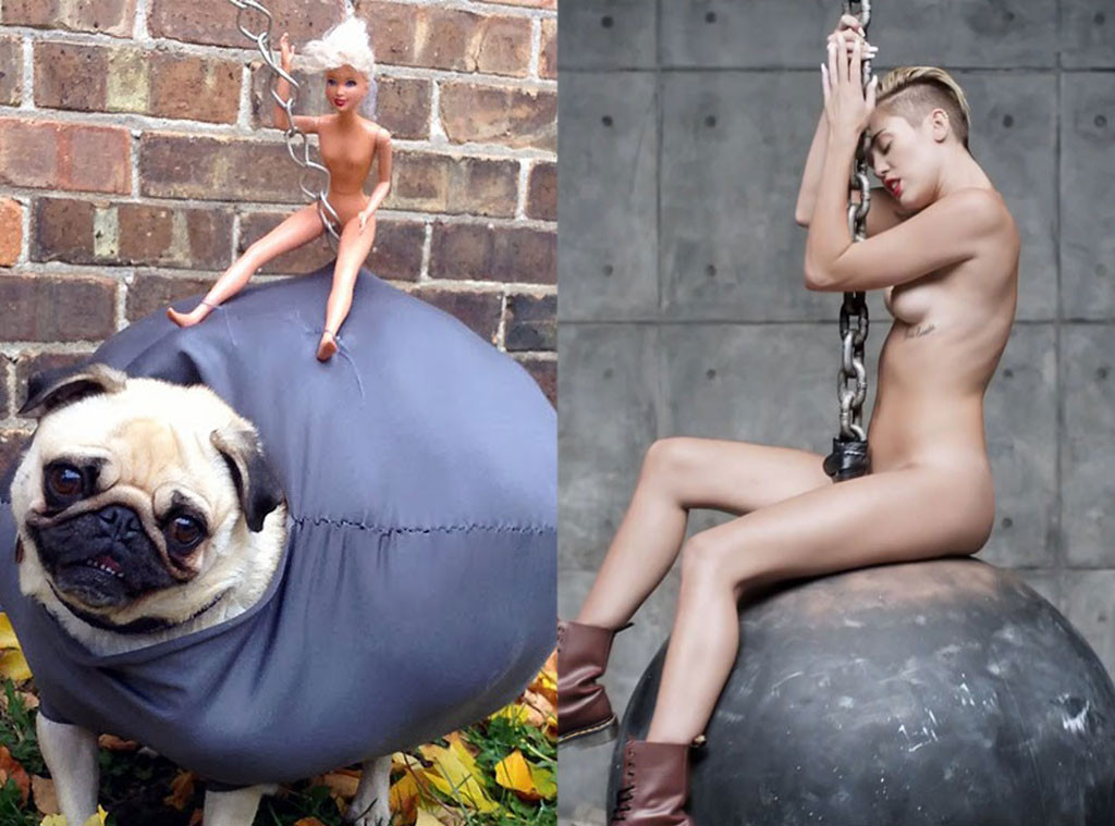 Pug Costume, Miley Cyrus, Wrecking Ball