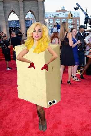 Tofu Gaga from Lady Gaga's CRAZIEST Outfits | E! News
