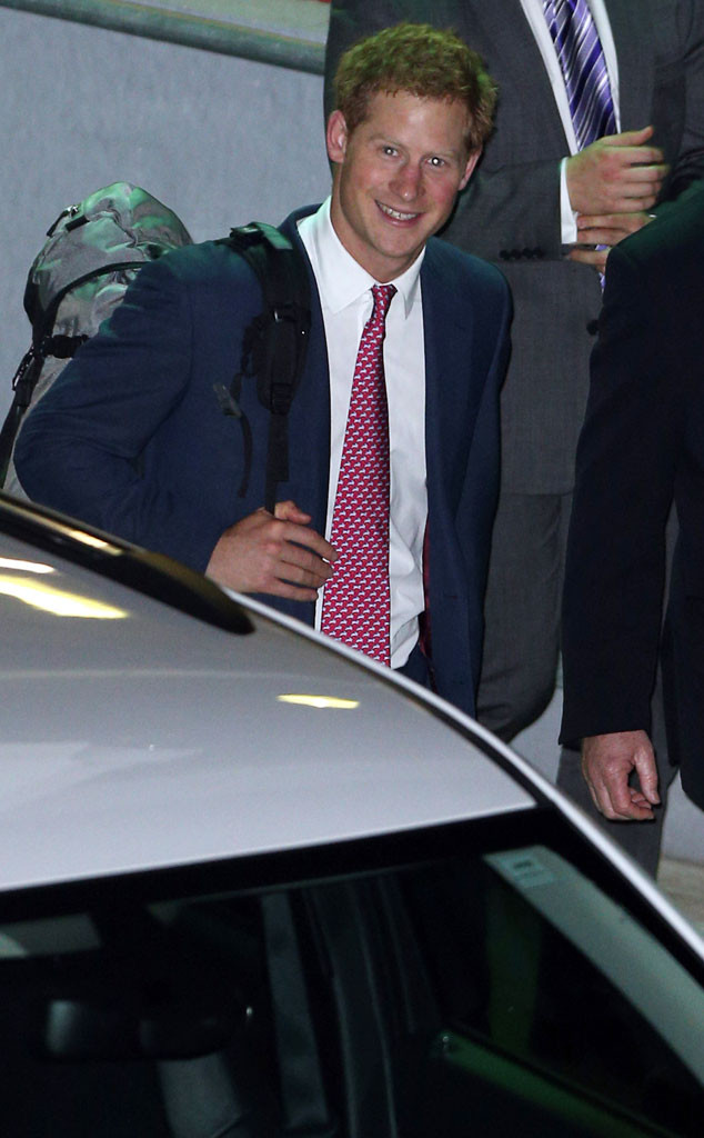 What are Prince Harry and Prince William Up to Next?