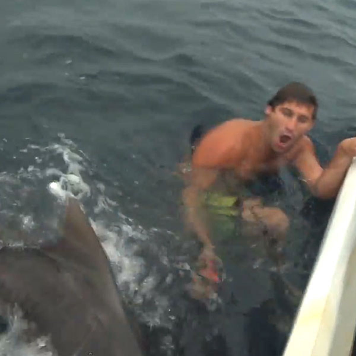 Soon Fascinate Ride Watch: Viral Video Shows Man Almost Being Attacked By a Shark - E! Online