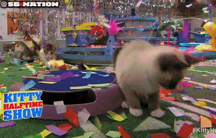 Keyboard Cat And Lil Bub At Puppy Bowl Our Predictions E Online Au