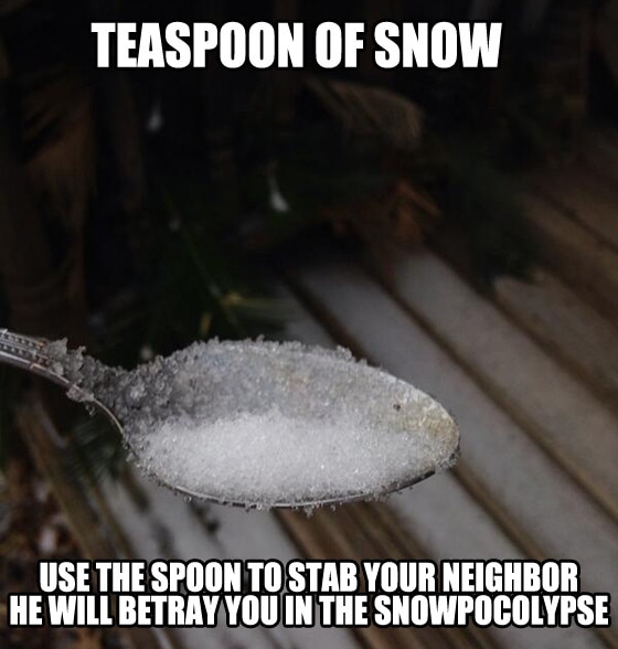 Austin's Snow Day Preparation Memes.