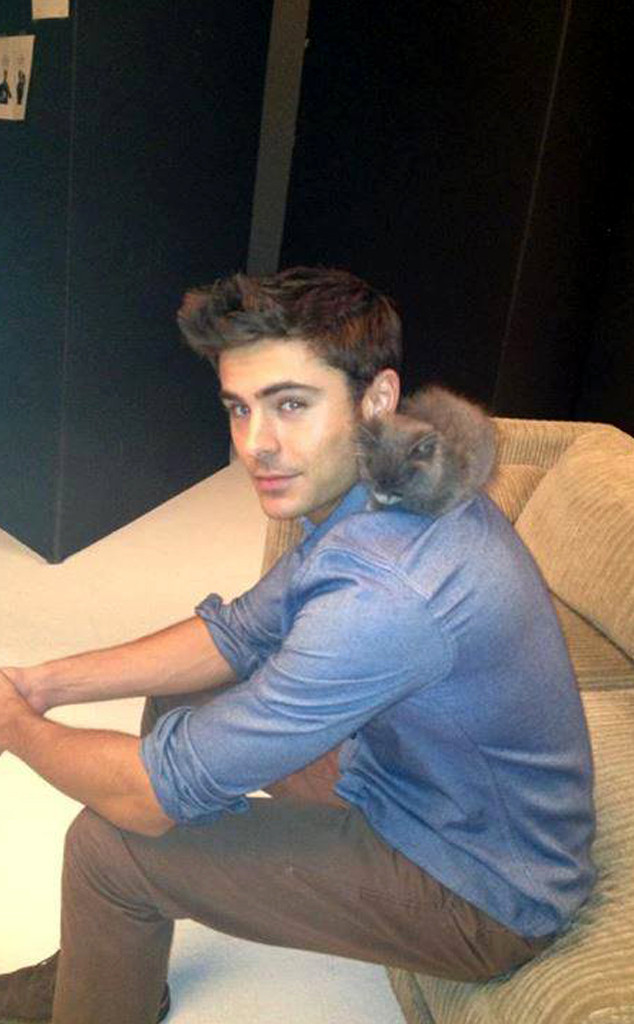 Zac Efron From Celebs With Cats E News