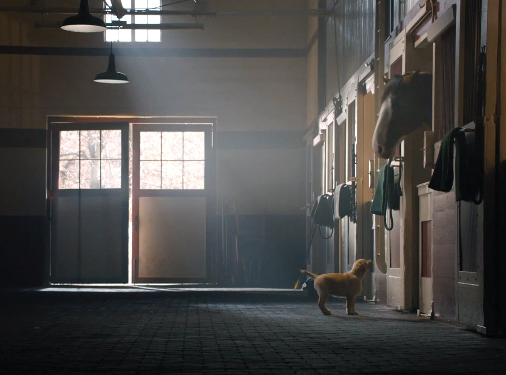 Most Memorable Super Bowl Ad, Budweiser Puppy Love
