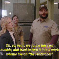 ron parks and rec lady with tea quote