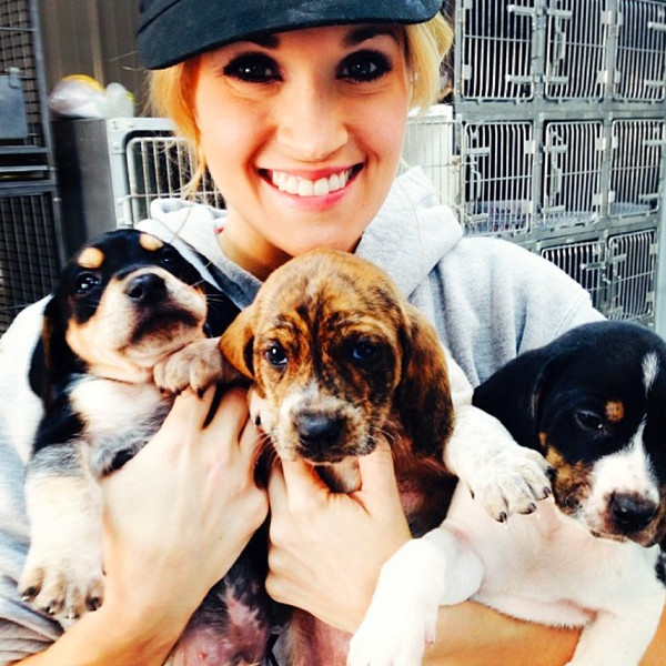 Carrie Underwood Volunteers With Puppies—see The Pics E