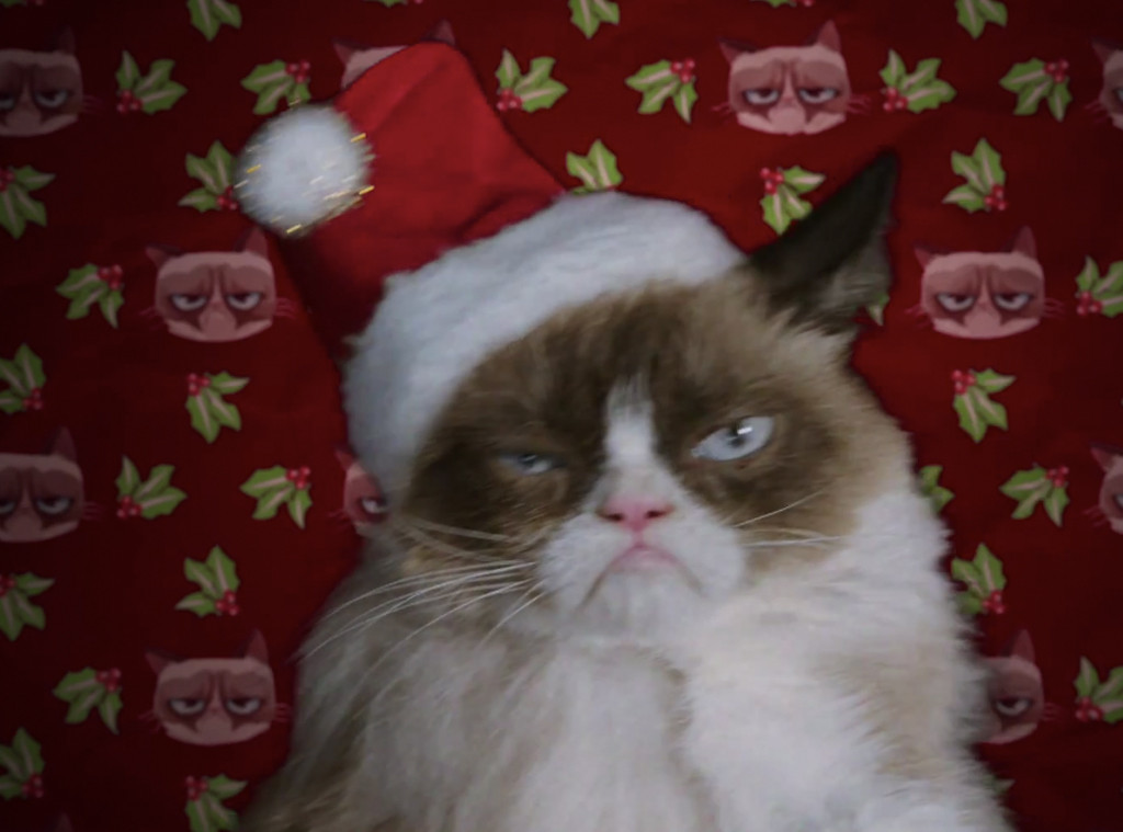 Primeiro Trailer Do Filme De Grumpy Cat é Divulgado E Online Brasil