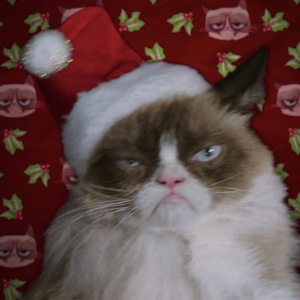 Watch Grumpy Cat’s Worst Christmas Ever Trailer Is Here
