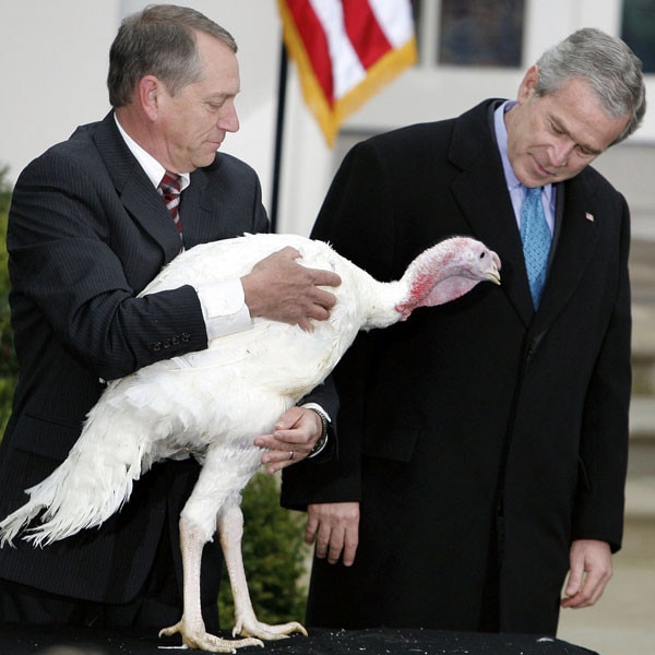 Photos From Hilarious Pardoned Turkey Pics - E! Online - UK