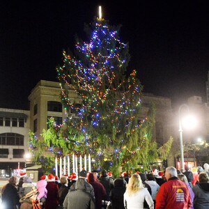 this towns christmas tree is so sad and hideous that residents want ugly christmas lights