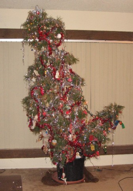 Ugly Christmas Trees Photos 