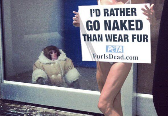 Speak For Yourself from Happy Anniversary, Ikea Monkey | E! News