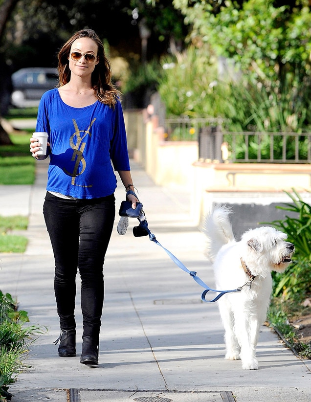 Olivia Wilde from The Big Picture: Today's Hot Photos | E! News